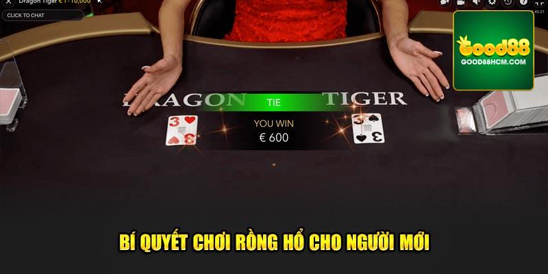 Bí quyết chơi rồng hổ cho người mới