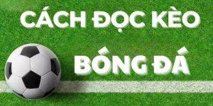 cách đọc kèo bóng trên mạng