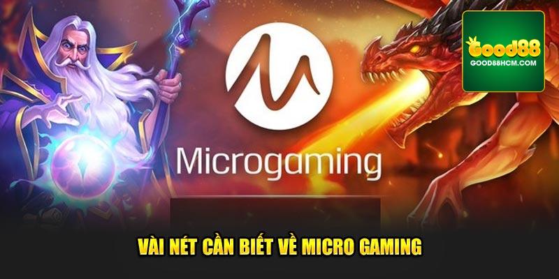 Vài nét cần biết về Micro Gaming